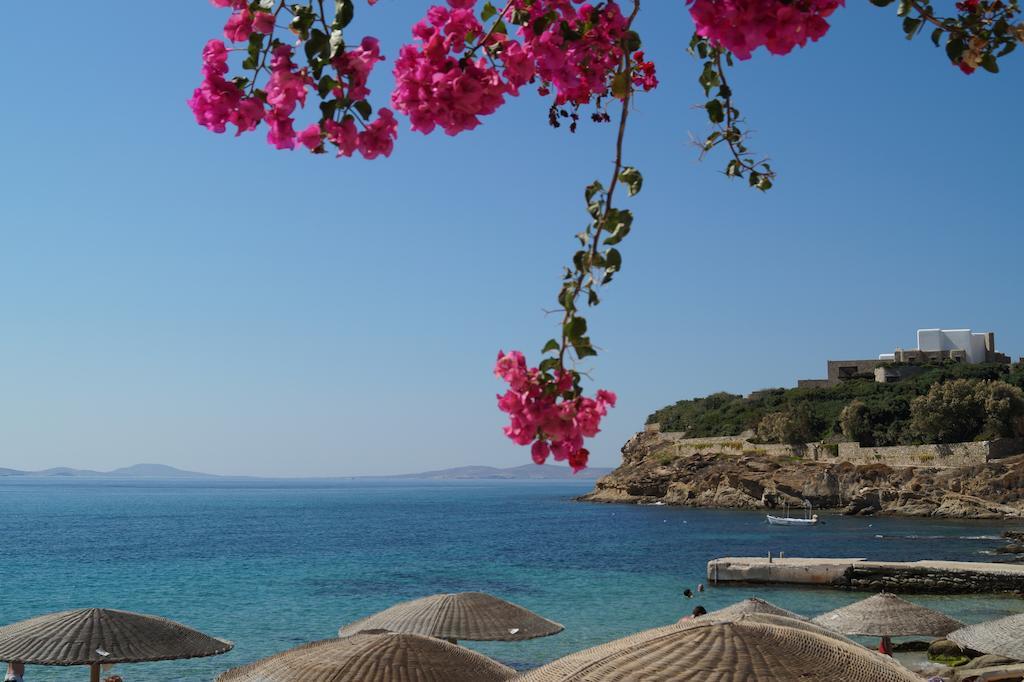 Amazing View Hotel Apartments Άγιος Στέφανος Εξωτερικό φωτογραφία